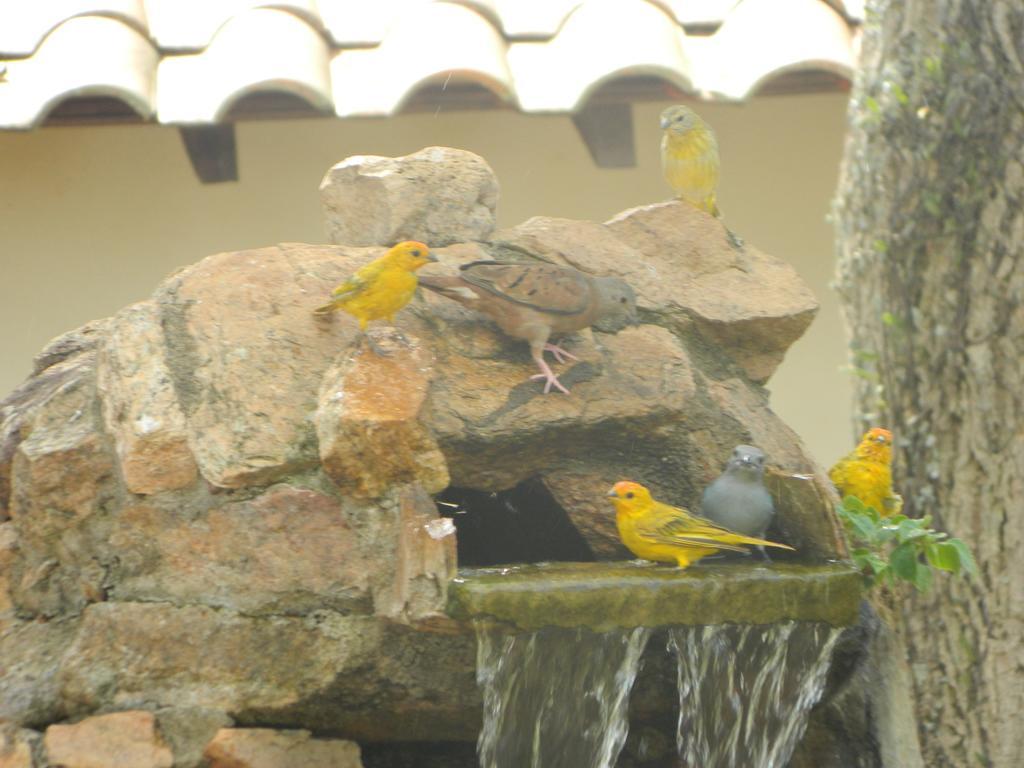 Pousada Nova Estancia Socorro  Luaran gambar